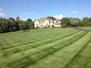 Meehan's Turf Care Customer Lawn