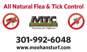 Flea and Tick Yard Sign